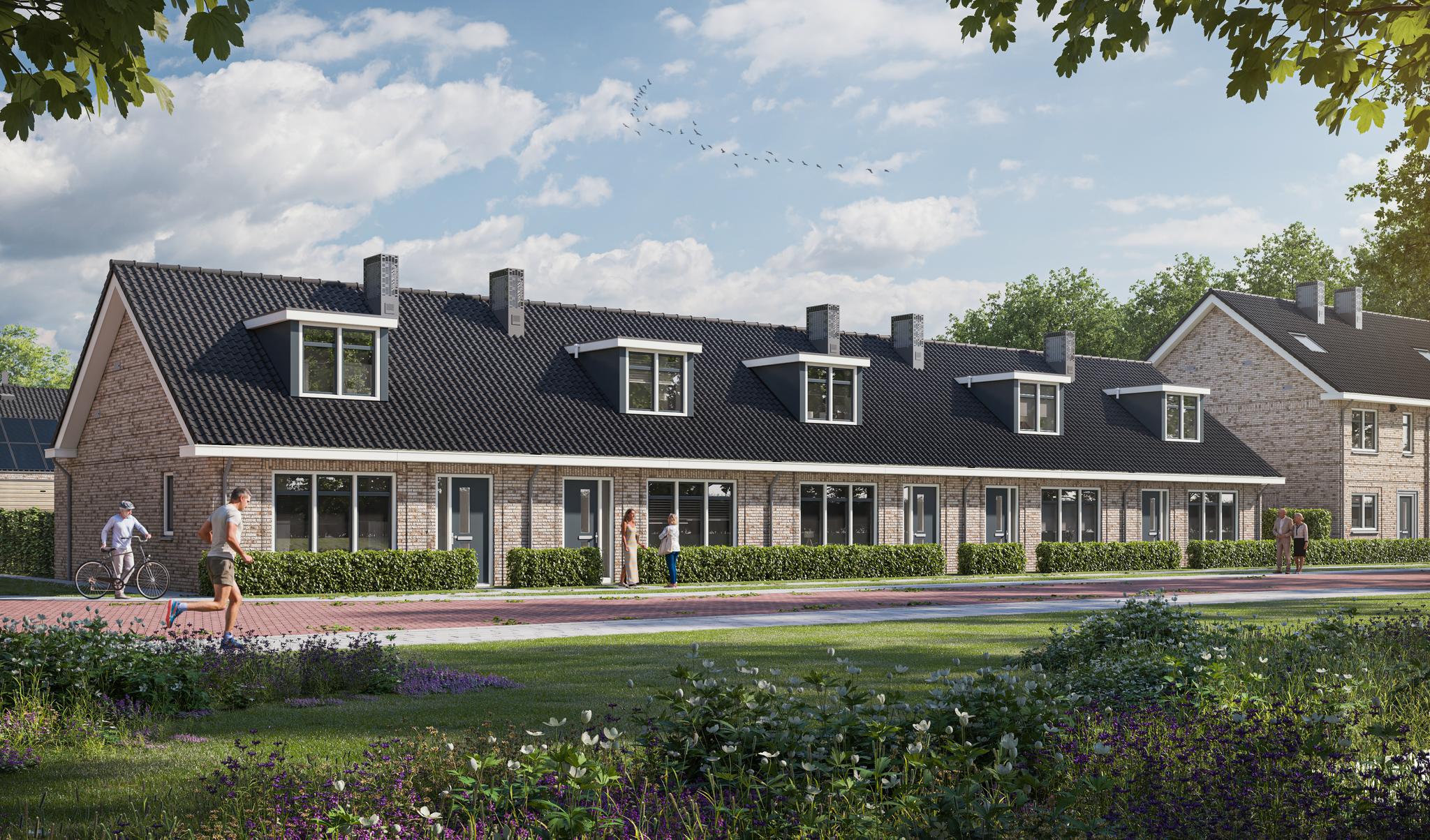 Levensloop type C HOEK