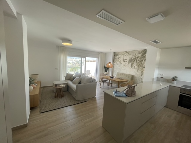 gallery-5