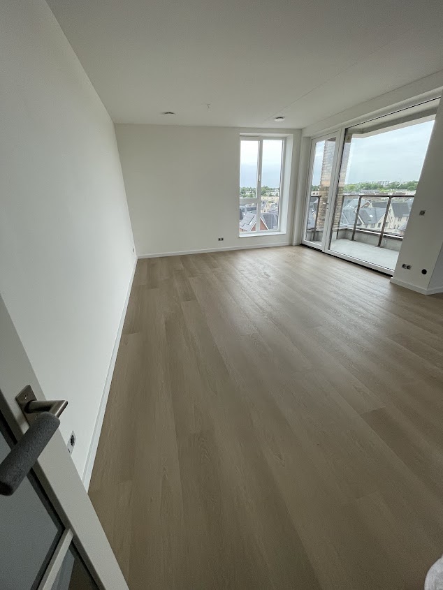 gallery-8