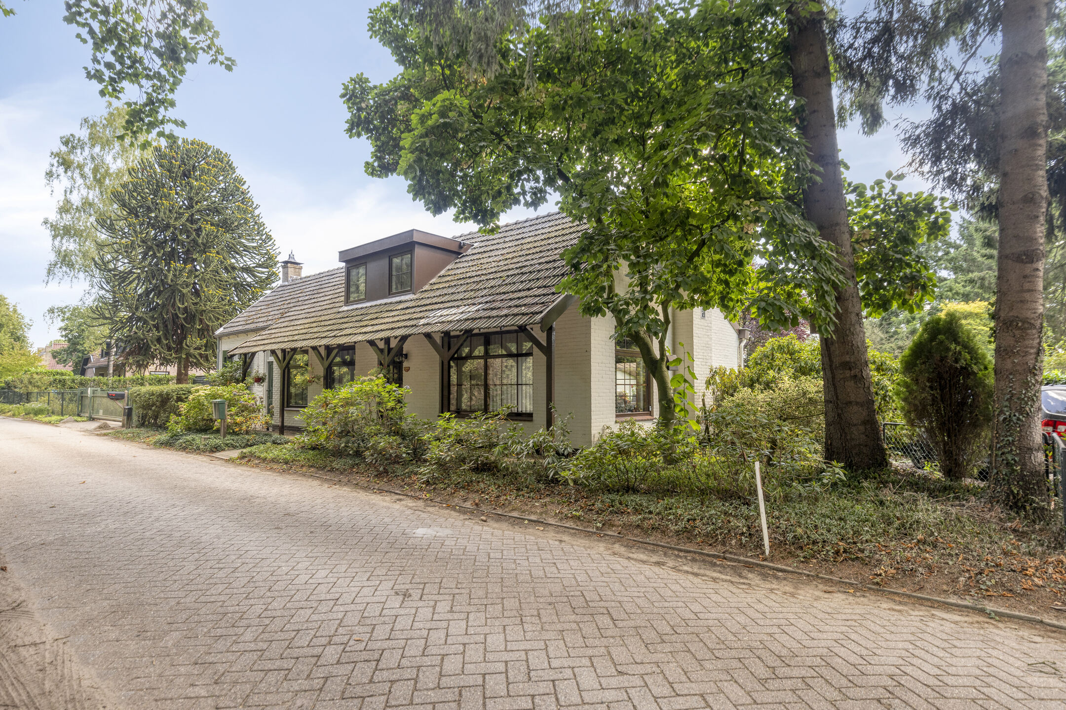 Zandven 4