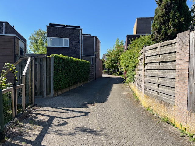 gallery-1
