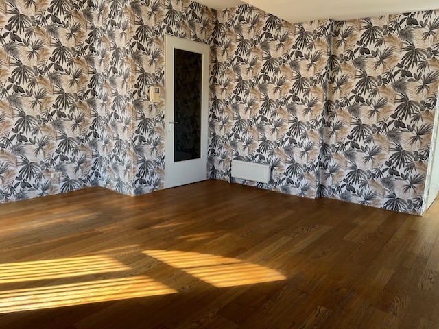 gallery-6