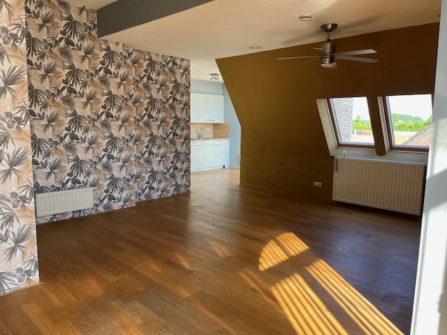 gallery-11