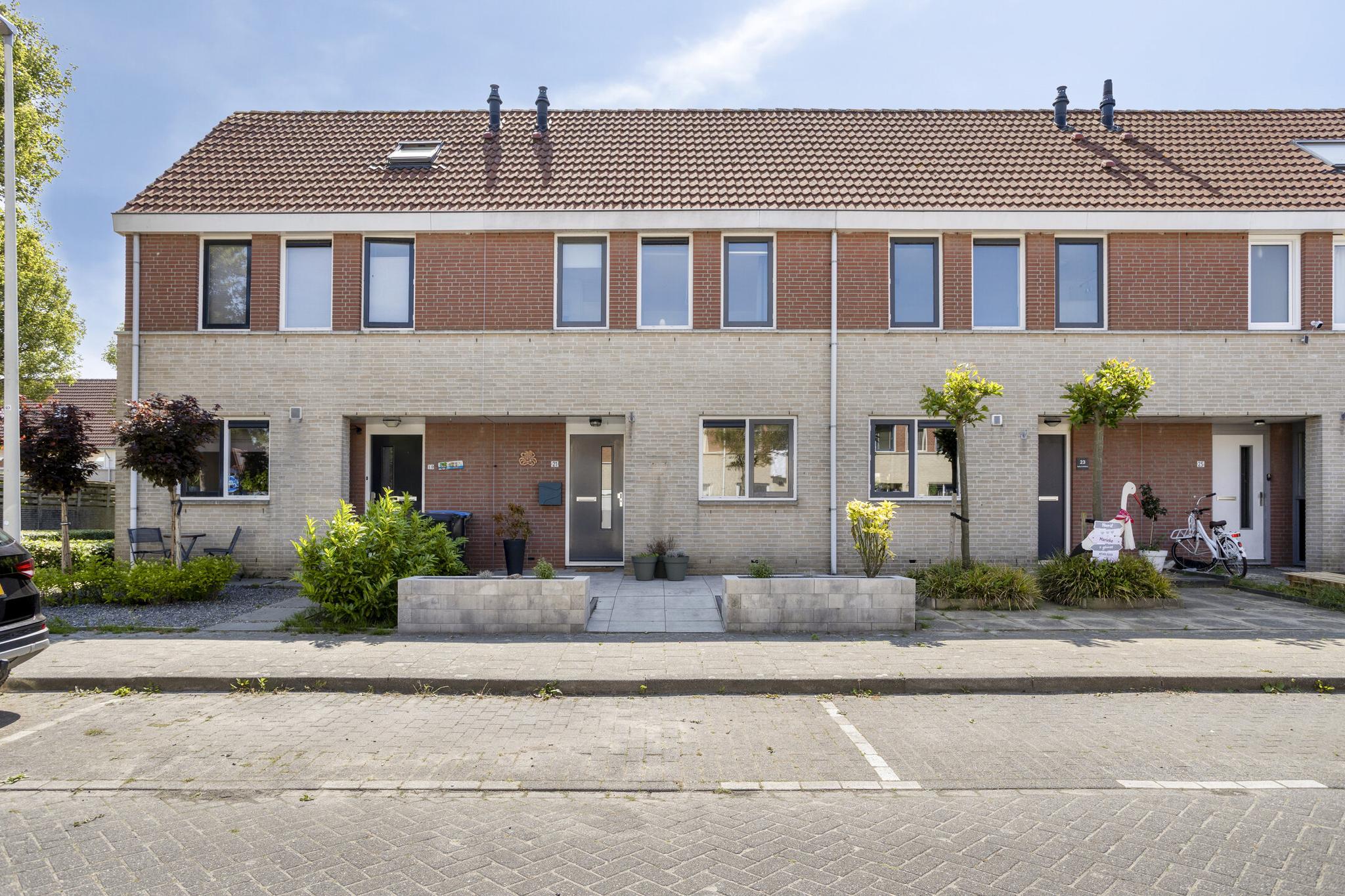 Meerkoet 21
