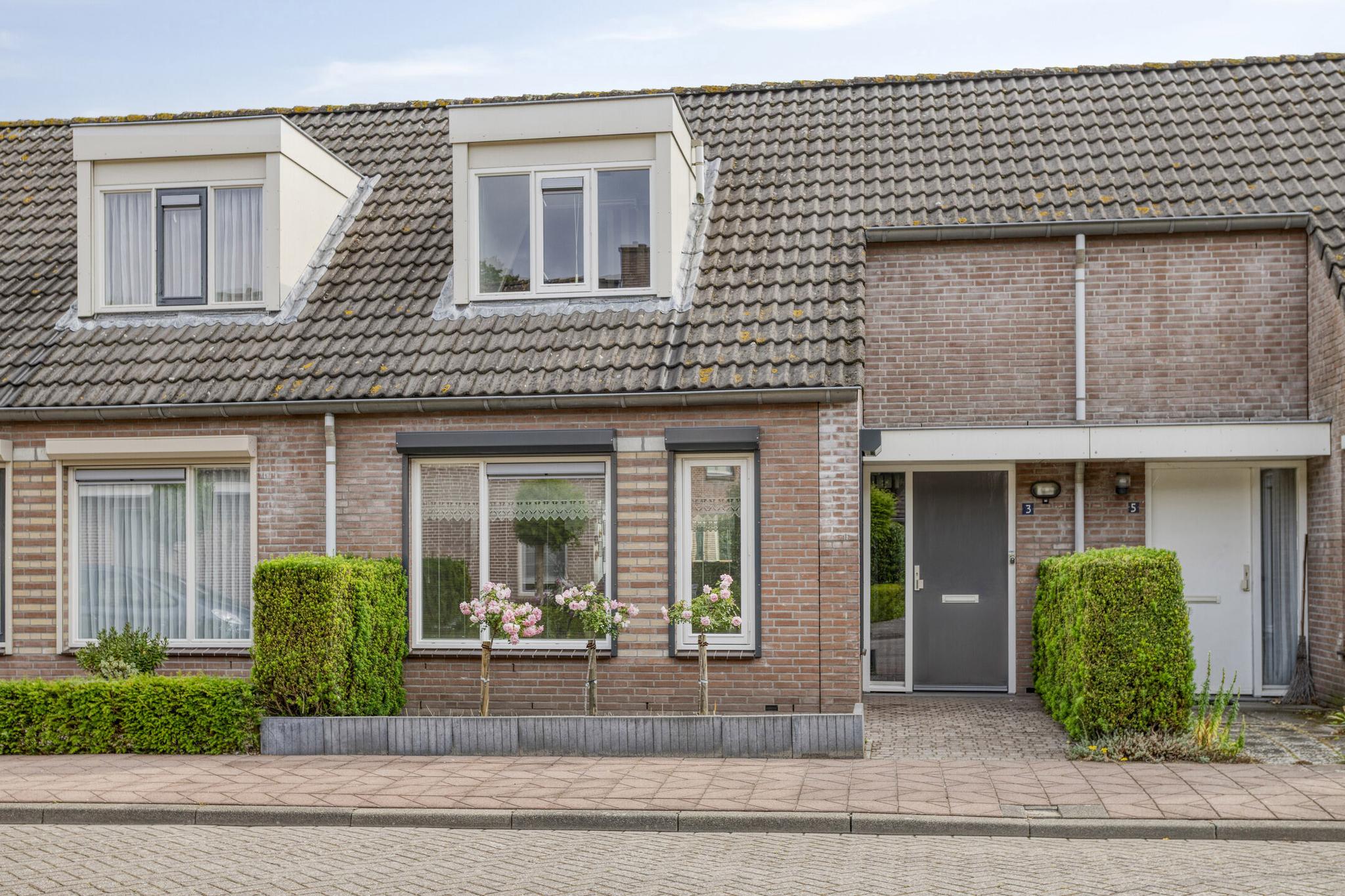 Vogelkersstraat 3